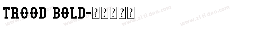 Trood Bold字体转换